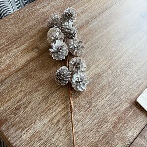 Small Pinecone Picks - Set of 12
